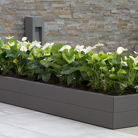 Plantenbak Modulair Taupe 300x120x28 cm