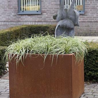 Bloembak vlak - 60x60x60 cm Corten