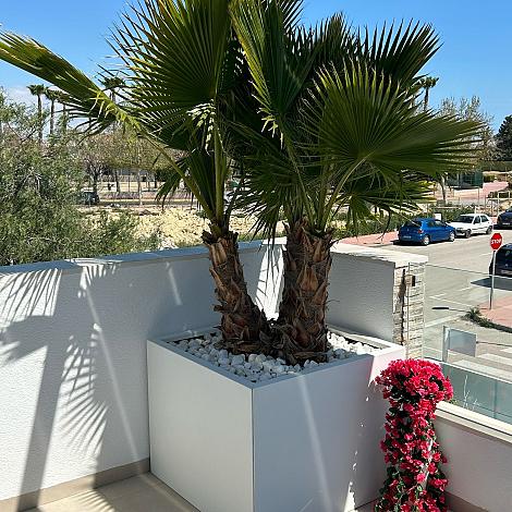 Plantenbak Vlak Wit 120x120x60 cm