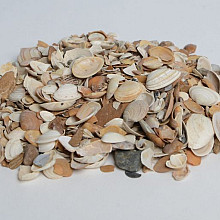Gebroken Schelpen