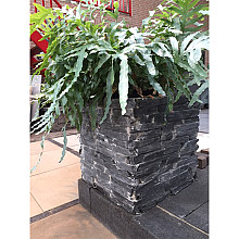 Slate - Bloembak